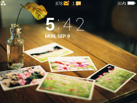 Dorothy blackberry themes