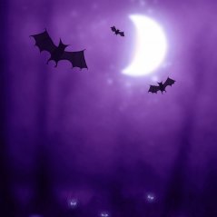 <b>Halloween Bat wallpaper</b>