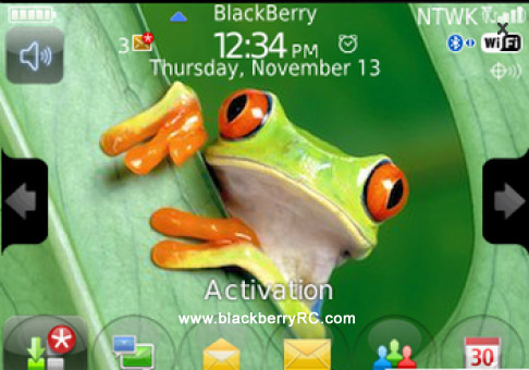 Cute Lizard 1.0 for 99xx bold themes