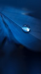 <b>Water drops 1440x2560 hd wallpaper</b>