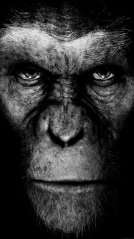 <b>The Planet Of The Apes 1440x2560 Wallpapers</b>