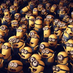 <b>minions despicable me 1440x1440 wallpaper</b>