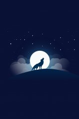 <b>The wolf for blackberry keyone wallpaper</b>