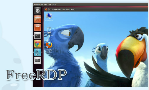 <b>FreeRDP: A Remote Desktop Protocol Implementation</b>